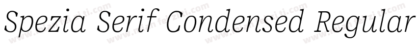 Spezia Serif Condensed Regular D字体转换